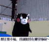 大熊猫 可爱 跳跃 黑色