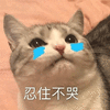 忍住不哭 猫 伤心 搞怪 逗