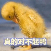 小黄鸭 萌宠 可爱 逗 文字表情包