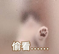 萌宠 喵星人 偷看 伸爪子 可爱 憨憨