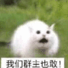 沙雕 沙雕图 沙雕表情包 今日沙雕