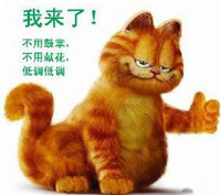 加菲猫 手指 眯眼 我来了