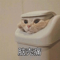 脑壳痛 猫