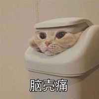 脑壳痛 猫 搞怪 逗