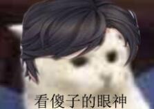斗图猫咪看傻子的眼神gif动图_动态图_表情包下载_soogif