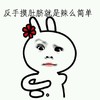兔子 可爱 搞笑 呆萌 斗图 我反手摸肚脐就是辣么简单