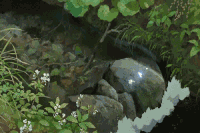 河流 亮光 漂亮 美景