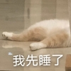 萌宠 喵星人 我先睡了 难受 呆萌 可爱