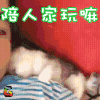 撩 撒娇 陪人家玩嘛 soogif soogif出品