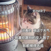 萌宠 猫星人 太冷了 说真的 呆萌 可爱