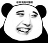 搞笑 逗比 熊猫头 我真不懂啊
