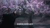 三生三世十里桃花 夜华 赵又廷 杨幂 白浅