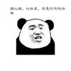 南山南，北秋辈，我是代伟我怕谁 金馆长 熊猫 紧鼻子