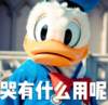 迪士尼 唐老鸭 搞笑 可爱 开学