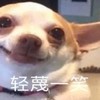 萌宠 汪星人 轻蔑一笑 嘴角上扬 搞怪 淘气