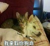 萌宠 猫星人 我来取你狗命 等死吧你 搞怪 呆萌