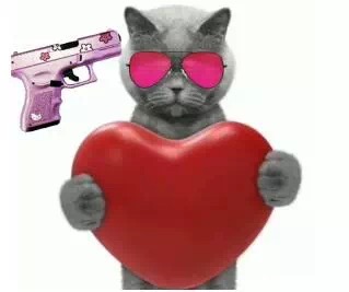 抖音蓝猫 蓝猫 社会猫 抖音