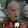 那年花开月正圆 陈晓 沈星移 你是傻吗 soogif soogif出品