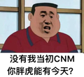 没有我当初CNM你胖虎能有今天 斗图 搞笑 猥琐