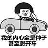 蘑菇头 内心全是种子 想开车 斗图 搞笑 猥琐