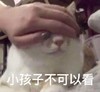 萌宠 猫星人 小孩子不可以看 拒绝 搞怪 逗
