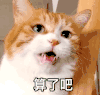 萌宠 猫星人 算了吧 无奈 委屈