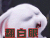 翻白眼 二次元世界