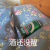 搞怪 酒还没醒 搞笑 逗 沙雕
