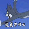 汤姆猫 搞笑 飞行 这是为什么