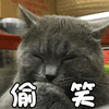 猫 喵星人 萌宠 偷笑 soogif soogif出品