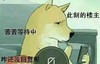 此刻的楼主 苦苦等待中 咋还没回复呢 狗狗