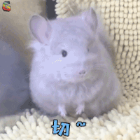 萌宠 龙猫 切~ 生气 soogif soogif出品