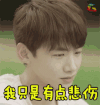 白敬亭 soogif soogif出品 伤心 悲伤