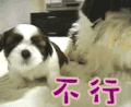 不行 摇头 拒绝