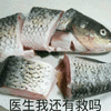 沙雕图 沙雕表情包 沙雕