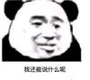 熊猫头 我还能说什么呢 无奈 斗图