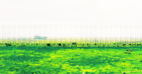 草地 绿皮 栅栏