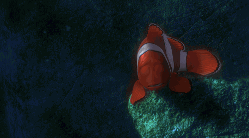 海底总动员 大海 海洋 小丑鱼