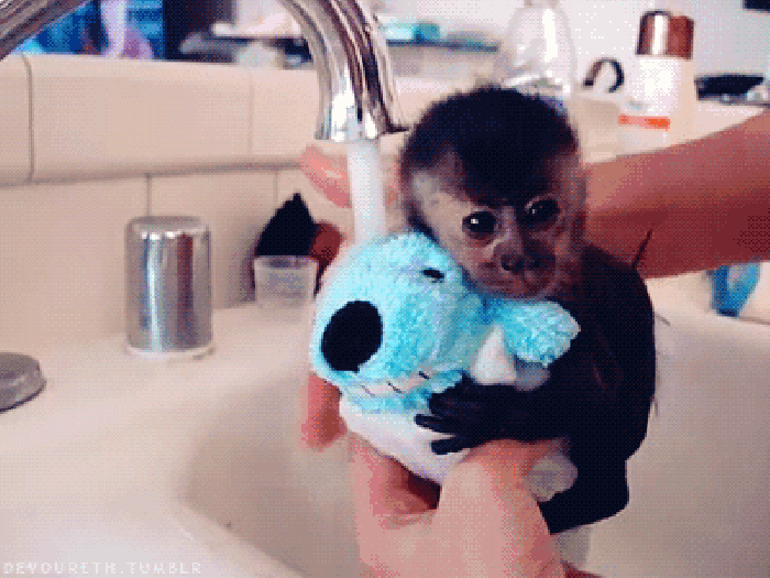 小猴子 洗澡 可爱 直视