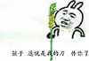 孩子 这就是我的刀 传你了 青龙偃月刀