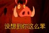 笨