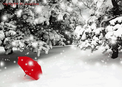 雪花 白色 红色 漂亮