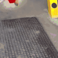 萌宠 狗狗 笑眯眯 伸舌头