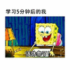 沙雕 沙雕表情包 沙雕文化 搞笑 搞笑表情包