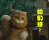 喵星人 你们好