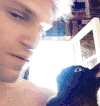 宠物 Meow 猫 搞笑 萌 gif