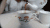 下午茶 好安静 茶壶 杯子