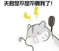 仓鼠 愤怒 生气 夫君是不是不要我了