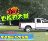 汽车 大马力 拉大树