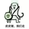 皮皮猪我们走